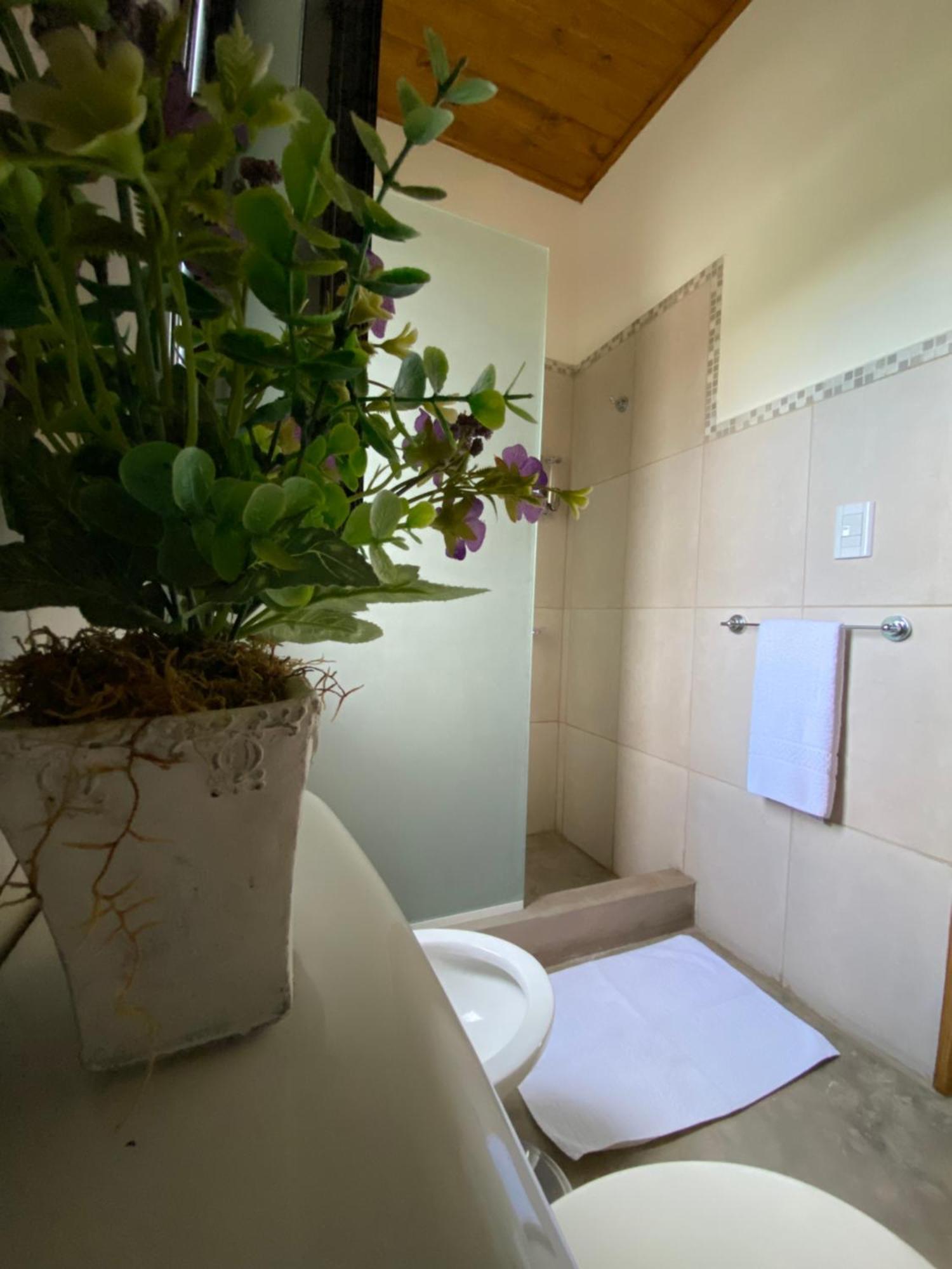 Holiday home Complejo Olivos Cafayate